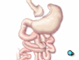This upper portion forms a small pouch which is sealed with a stapling tool. The opening in the larger portion of the stomach is closed with staples.